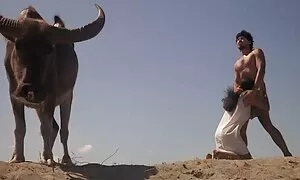 همسر دوست دختر همسرش دانلود عکس سکسی متحرک