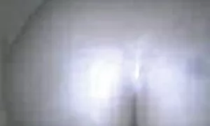 گربه دوست داشتنی در نمای نزدیک وب سکس متحرک سیاوش دلسوز کم