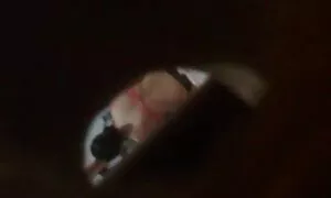 برخی از عاشقان قبل از خوابیدن در کنار انیمیشن سکس متحرک شومینه رابطه جنسی پرشوری انجام می دهند
