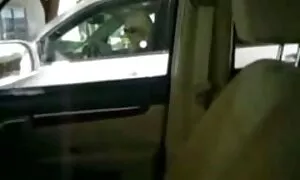 روسپی های خیابانی در ملا public عام به عکس متحرک سکسی با صدا دو مرد خدمت می کنند